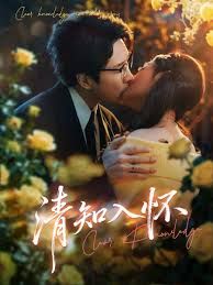 清知入怀短剧