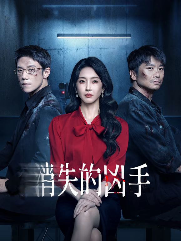消失的凶手电视剧